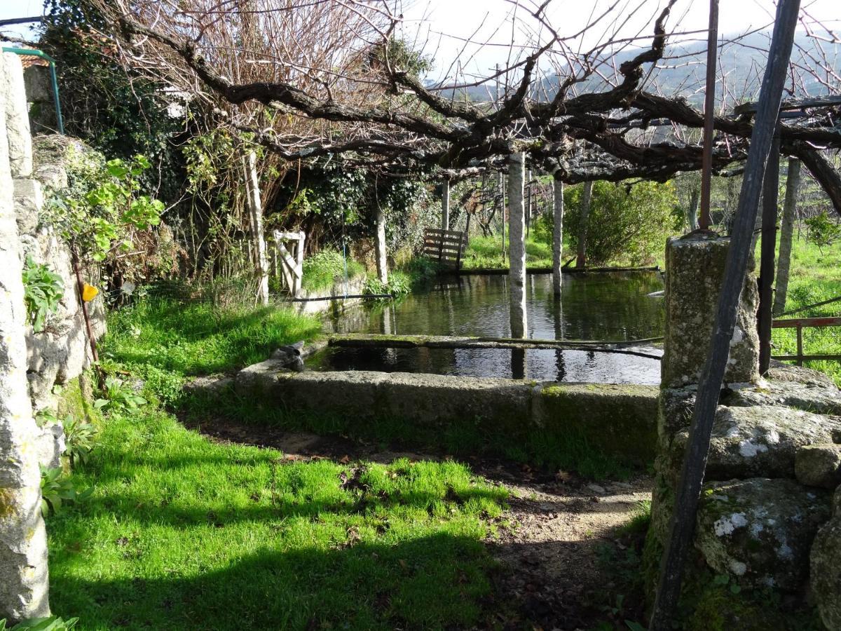 Quinta De S. Cipriano Villa Resende Bagian luar foto