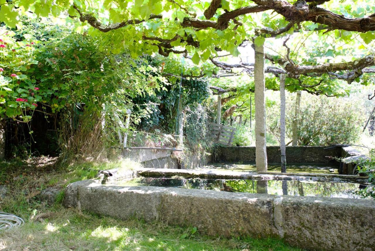 Quinta De S. Cipriano Villa Resende Bagian luar foto