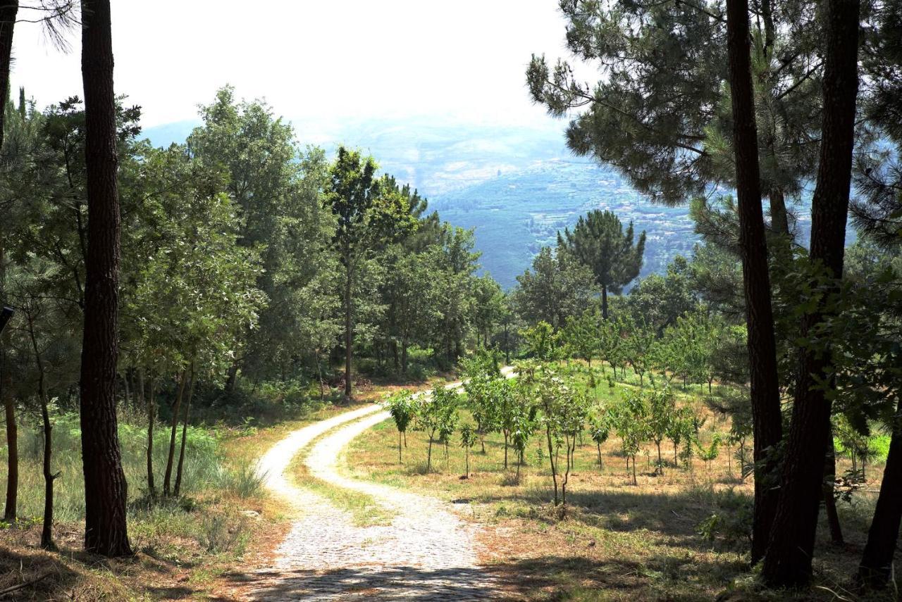 Quinta De S. Cipriano Villa Resende Bagian luar foto