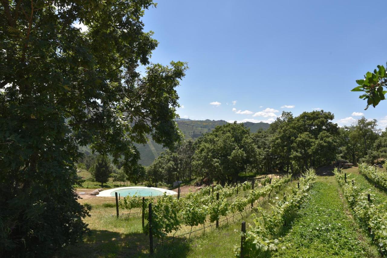 Quinta De S. Cipriano Villa Resende Bagian luar foto